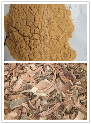 秦皮提取物、白蠟樹(shù)提取物